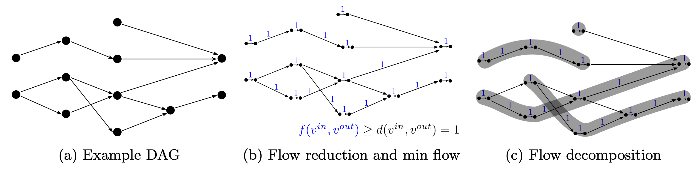 splice graph